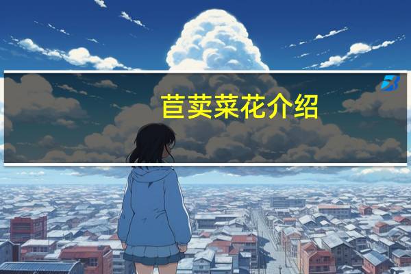 苣荬菜花介绍