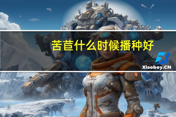 苦苣什么时候播种好