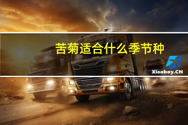 苦菊适合什么季节种