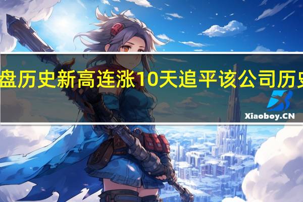 英伟达创收盘历史新高连涨10天追平该公司历史上最长连涨纪录