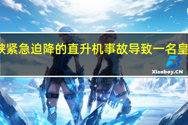 英吉利海峡紧急迫降的直升机事故导致一名皇家海军人员遇难