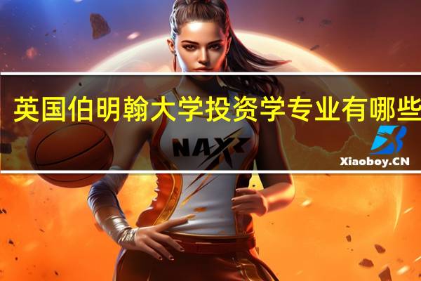 英国伯明翰大学投资学专业有哪些课程