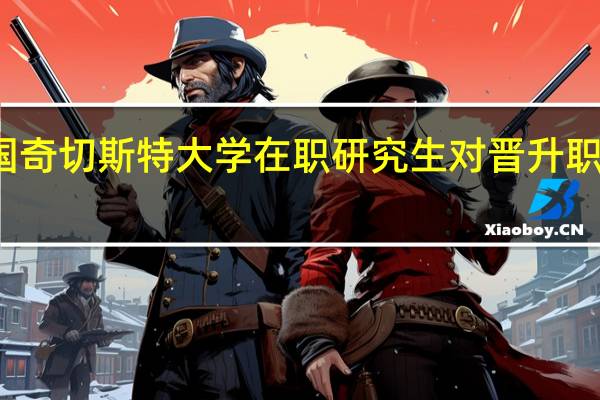 英国奇切斯特大学在职研究生对晋升职称有用吗