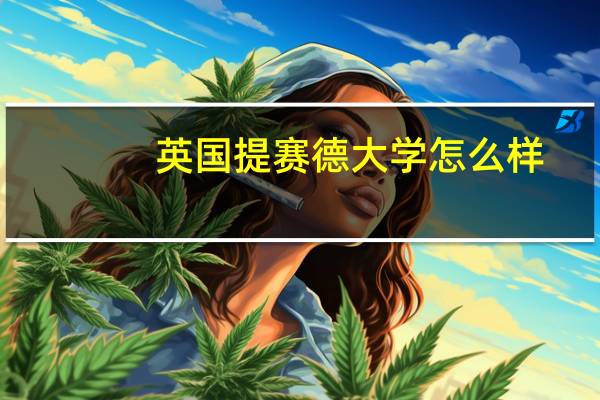 英国提赛德大学怎么样