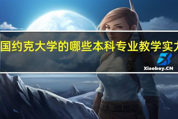 英国约克大学的哪些本科专业教学实力比较强