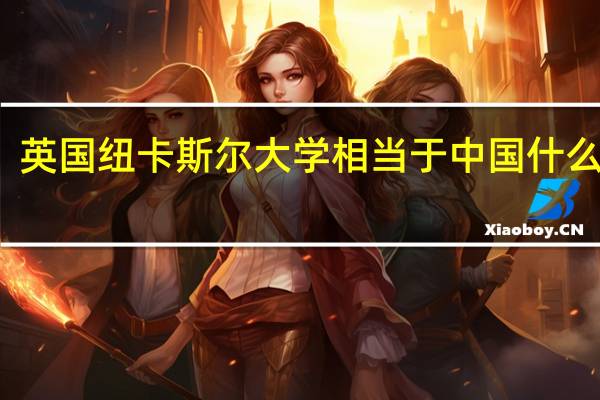 英国纽卡斯尔大学相当于中国什么大学