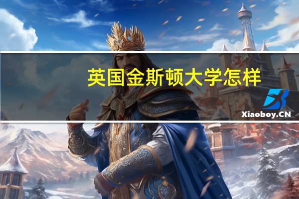 英国金斯顿大学怎样