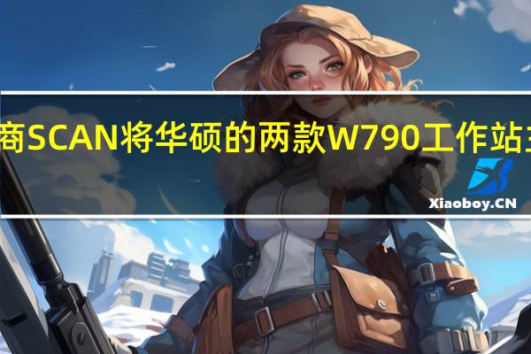 英国零售商SCAN将华硕的两款W790工作站主板摆上了货架