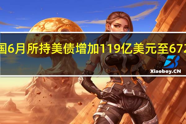 英国6月所持美债增加119亿美元至6723亿美元