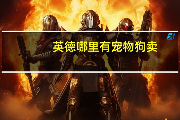 英德哪里有宠物狗卖