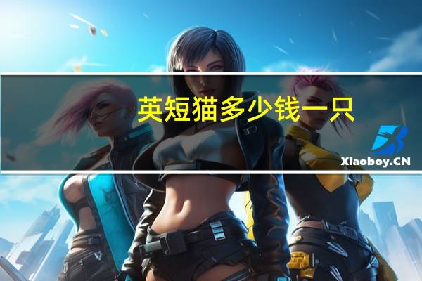 英短猫多少钱一只