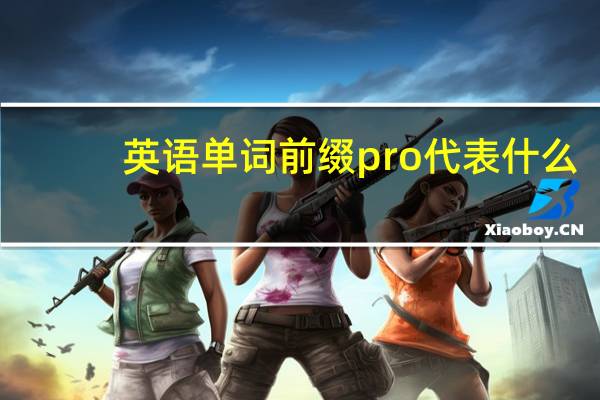 英语单词前缀pro代表什么