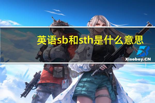 英语sb和sth是什么意思