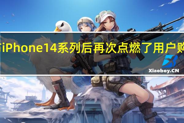 苹果发布iPhone14系列后再次点燃了用户购买新机的热情