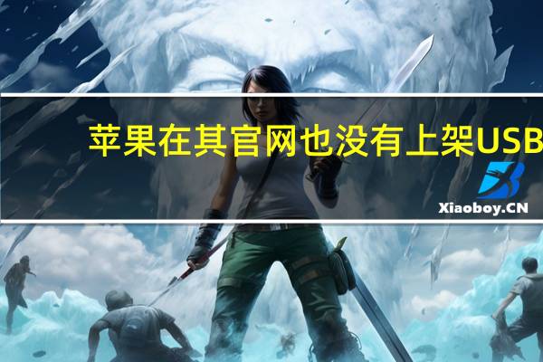 苹果在其官网也没有上架USB-C接口的相关电脑配件