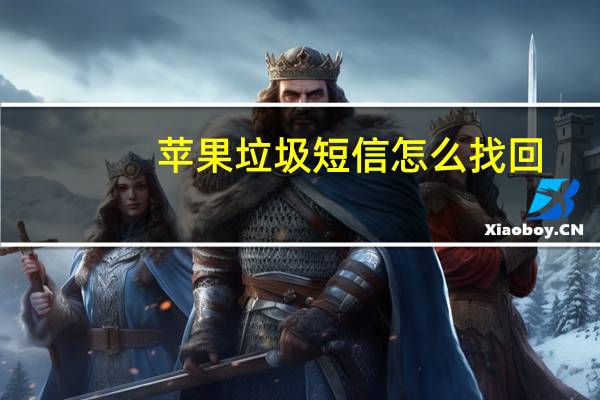 苹果垃圾短信怎么找回（苹果垃圾短信）