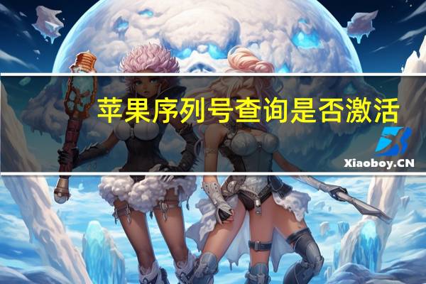 苹果序列号查询是否激活(苹果序列号查询)