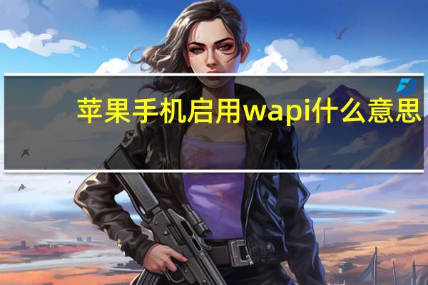 苹果手机启用wapi什么意思（wapi是什么意思）