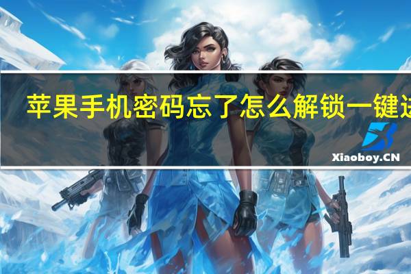 苹果手机密码忘了怎么解锁一键进入（苹果手机密码忘了怎么解锁）