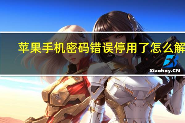 苹果手机密码错误停用了怎么解锁（苹果手机密码错误停用了怎么办）