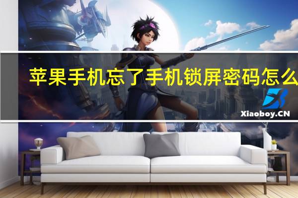 苹果手机忘了手机锁屏密码怎么办（苹果手机开机密码忘了怎么办）