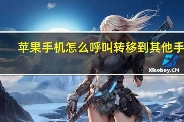 苹果手机怎么呼叫转移到其他手机(苹果手机可以呼叫转移到另一个手机上吗)