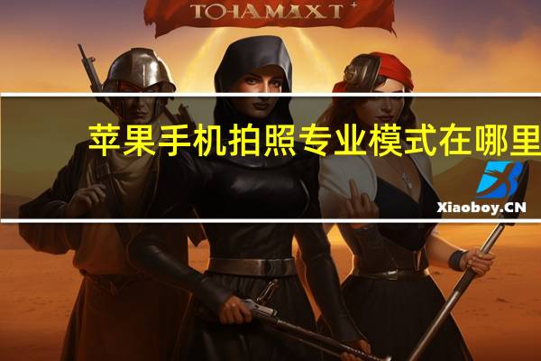 苹果手机拍照专业模式在哪里