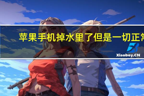 苹果手机掉水里了但是一切正常(苹果手机掉水里怎么处理)