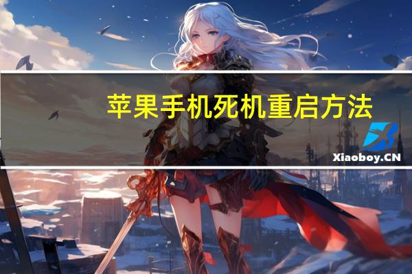 苹果手机死机重启方法(苹果手机死机怎么重启)