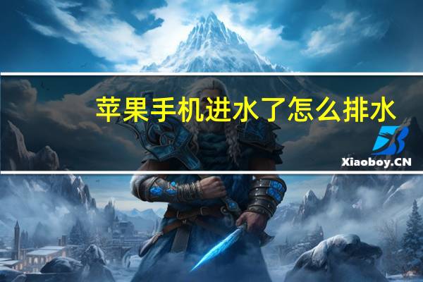苹果手机进水了怎么排水（苹果手机进水怎么办）