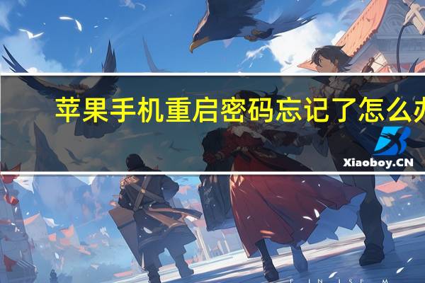苹果手机重启密码忘记了怎么办（苹果手机密码忘记了怎么办 两种快速解开iPhone）