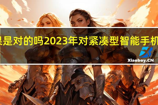 苹果是对的吗 2023年对紧凑型智能手机没有需求