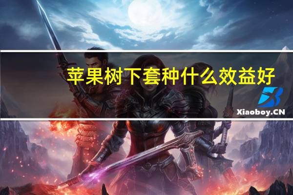 苹果树下套种什么效益好