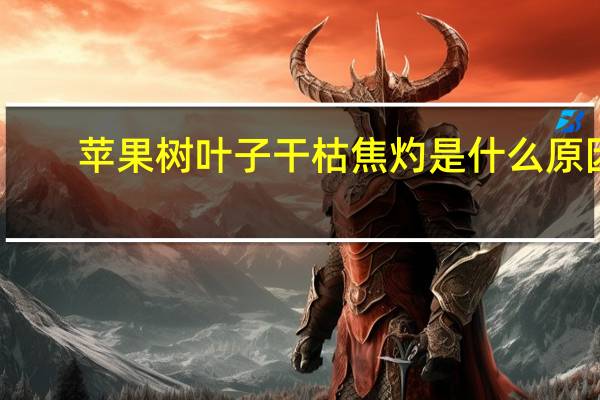 苹果树叶子干枯焦灼是什么原因