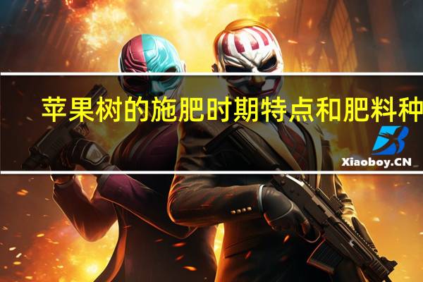苹果树的施肥时期特点和肥料种类