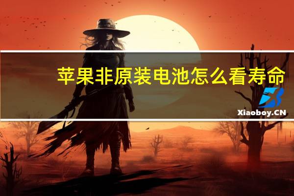 苹果非原装电池怎么看寿命