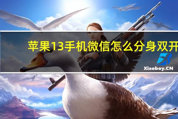 苹果13手机微信怎么分身双开(苹果手机微信怎么分身)