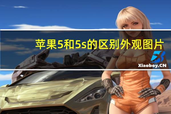 苹果5和5s的区别外观图片（苹果5和5s的区别）