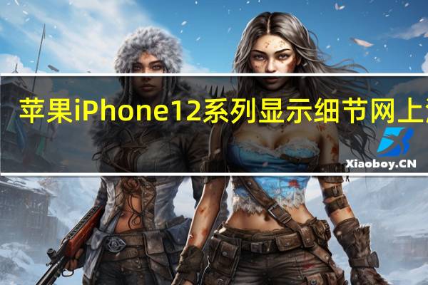 苹果iPhone 12系列显示细节网上泄露