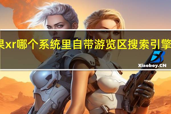 苹果xr哪个系统里自带游览区搜索引擎里有ecia
