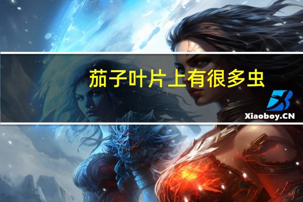 茄子叶片上有很多虫,怎么办
