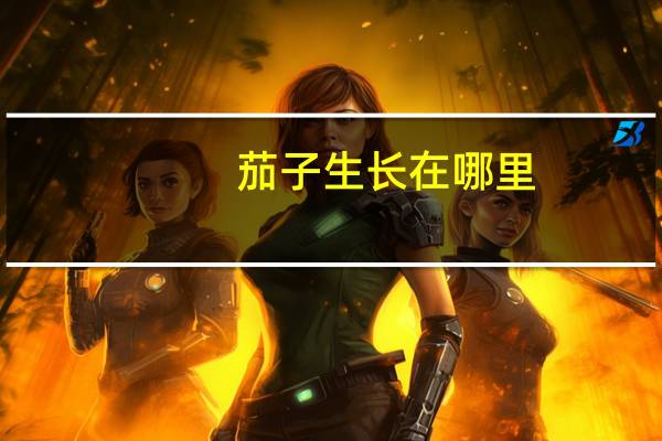 茄子生长在哪里