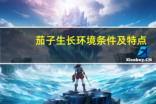 茄子生长环境条件及特点