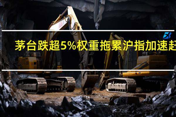 茅台跌超5% 权重拖累沪指加速赶底？