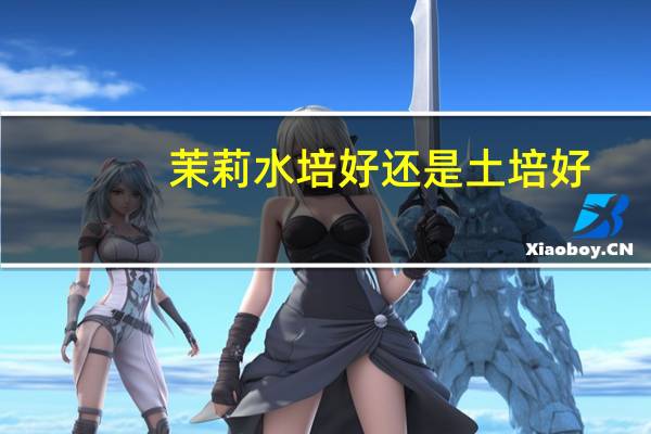 茉莉水培好还是土培好