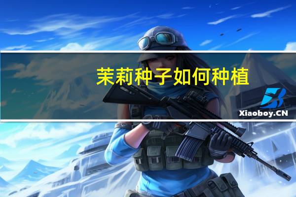 茉莉种子如何种植