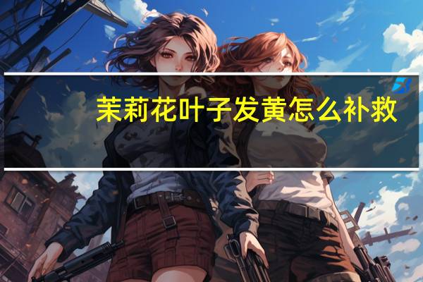 茉莉花叶子发黄怎么补救