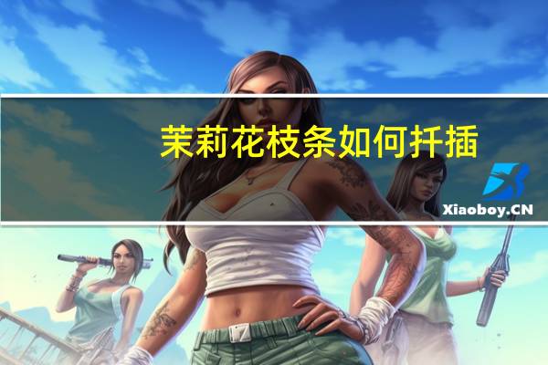 茉莉花枝条如何扦插