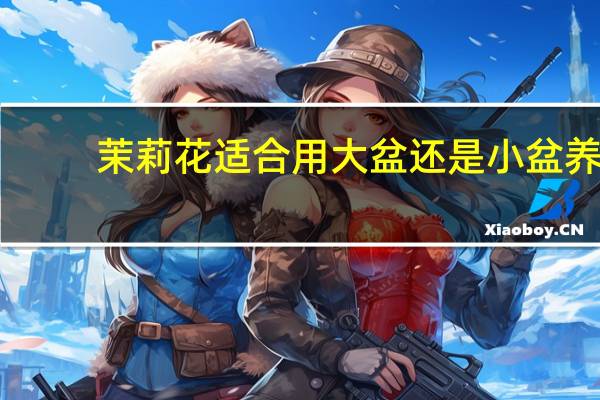 茉莉花适合用大盆还是小盆养