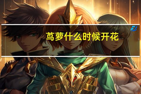茑萝什么时候开花